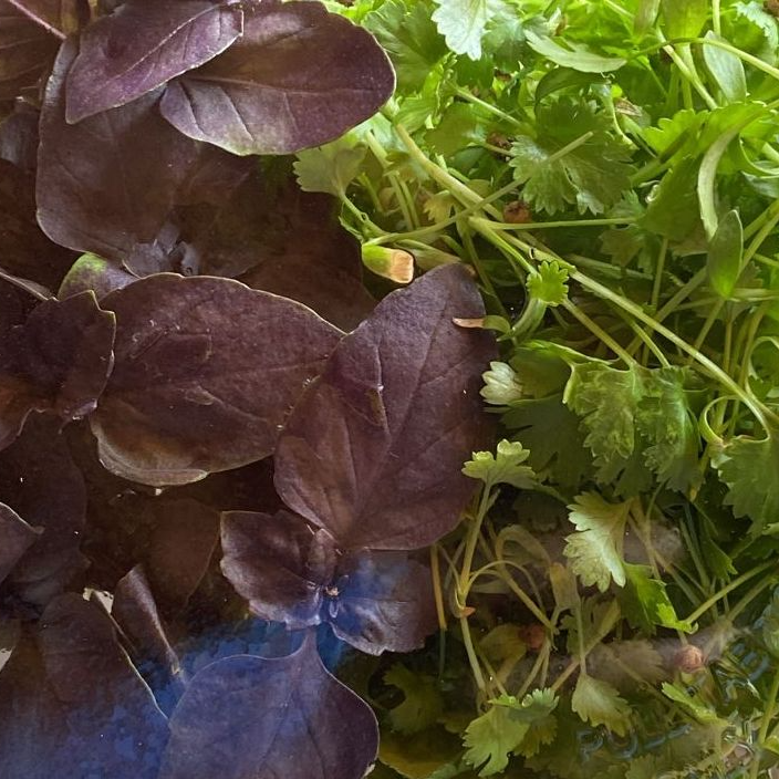 Image of fresh greens and vegetables